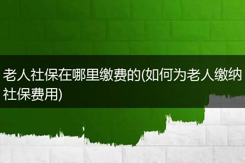 老人社保在哪里缴费的(如何为老人缴纳社保费用)