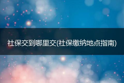 社保交到哪里交(社保缴纳地点指南)