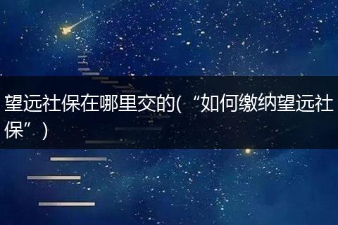 望远社保在哪里交的(“如何缴纳望远社保”)