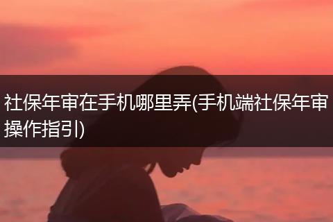 社保年审在手机哪里弄(手机端社保年审操作指引)