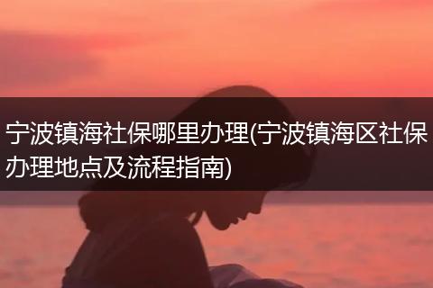宁波镇海社保哪里办理(宁波镇海区社保办理地点及流程指南)