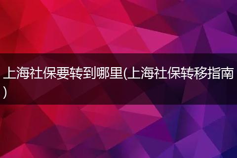 上海社保要转到哪里(上海社保转移指南)