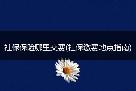 社保保险哪里交费(社保缴费地点指南)