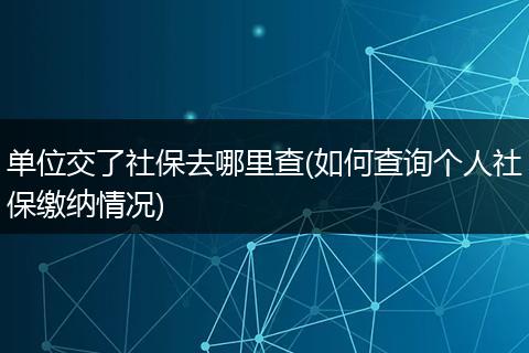单位交了社保去哪里查(如何查询个人社保缴纳情况)