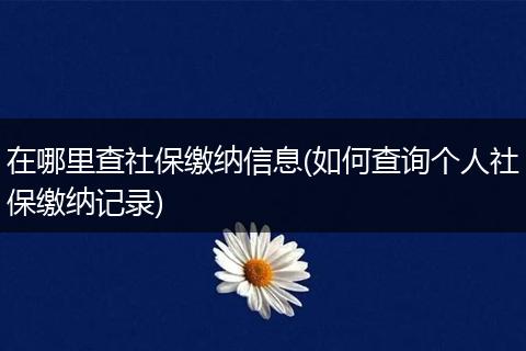 在哪里查社保缴纳信息(如何查询个人社保缴纳记录)