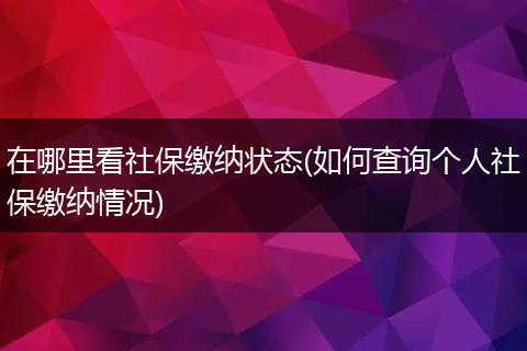 在哪里看社保缴纳状态(如何查询个人社保缴纳情况)