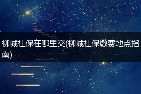 柳城社保在哪里交(柳城社保缴费地点指南)