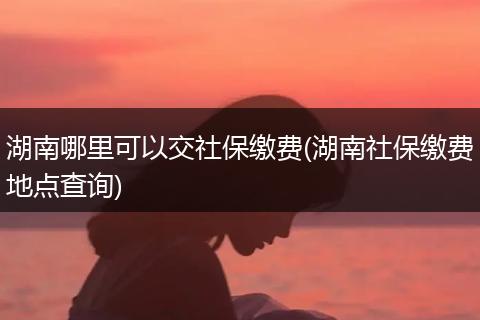湖南哪里可以交社保缴费(湖南社保缴费地点查询)