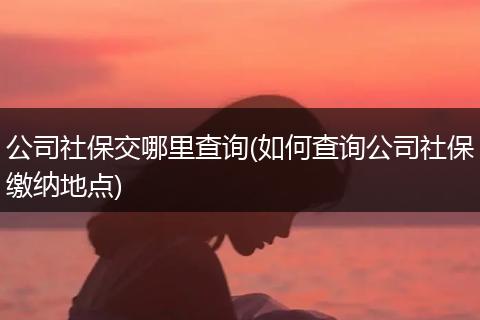 公司社保交哪里查询(如何查询公司社保缴纳地点)