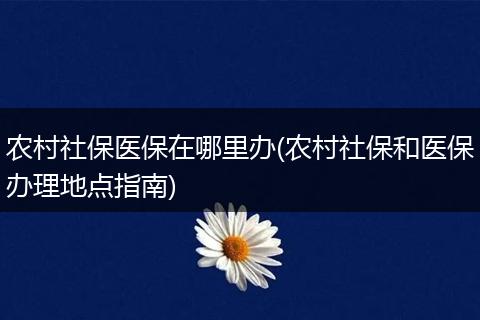农村社保医保在哪里办(农村社保和医保办理地点指南)