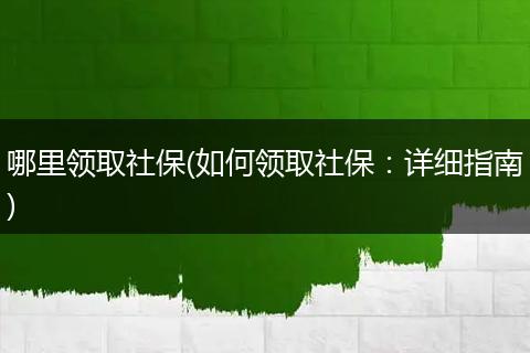 哪里领取社保(如何领取社保：详细指南)