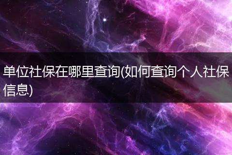 单位社保在哪里查询(如何查询个人社保信息)