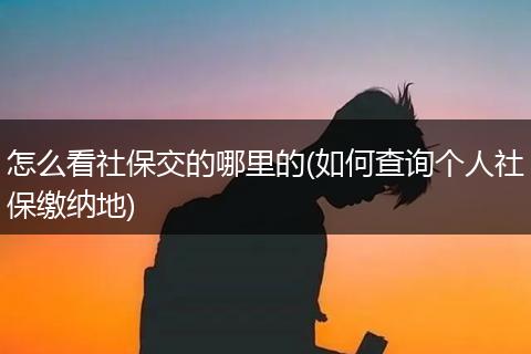 怎么看社保交的哪里的(如何查询个人社保缴纳地)