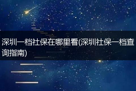 深圳一档社保在哪里看(深圳社保一档查询指南)