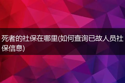 死者的社保在哪里(如何查询已故人员社保信息)