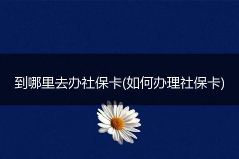 到哪里去办社保卡(如何办理社保卡)