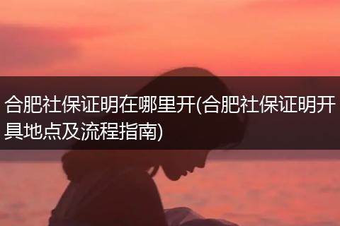 合肥社保证明在哪里开(合肥社保证明开具地点及流程指南)