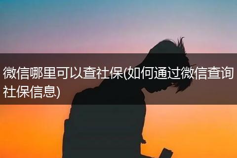 微信哪里可以查社保(如何通过微信查询社保信息)