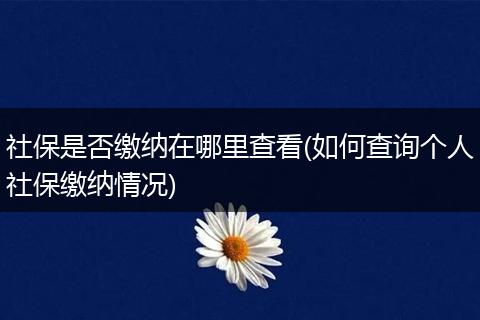 社保是否缴纳在哪里查看(如何查询个人社保缴纳情况)