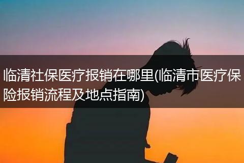 临清社保医疗报销在哪里(临清市医疗保险报销流程及地点指南)