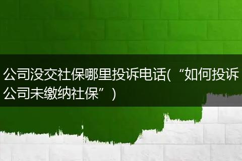 公司没交社保哪里投诉电话(“如何投诉公司未缴纳社保”)