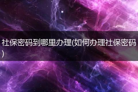 社保密码到哪里办理(如何办理社保密码)