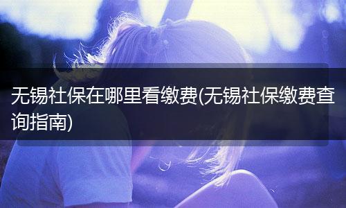 无锡社保在哪里看缴费(无锡社保缴费查询指南)