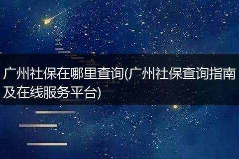 广州社保在哪里查询(广州社保查询指南及在线服务平台)