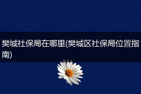 樊城社保局在哪里(樊城区社保局位置指南)