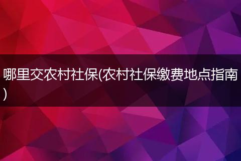 哪里交农村社保(农村社保缴费地点指南)