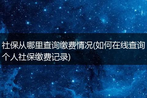 社保从哪里查询缴费情况(如何在线查询个人社保缴费记录)