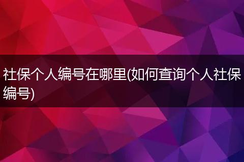 社保个人编号在哪里(如何查询个人社保编号)