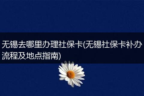 无锡去哪里办理社保卡(无锡社保卡补办流程及地点指南)