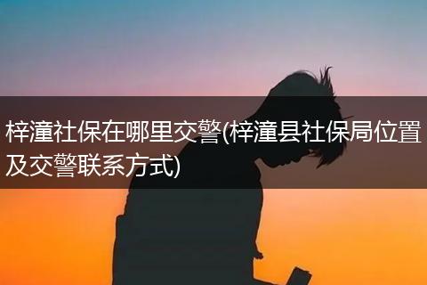 梓潼社保在哪里交警(梓潼县社保局位置及交警联系方式)