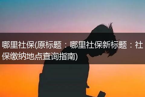 哪里社保(原标题：哪里社保新标题：社保缴纳地点查询指南)