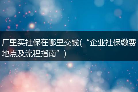 厂里买社保在哪里交钱(“企业社保缴费地点及流程指南”)