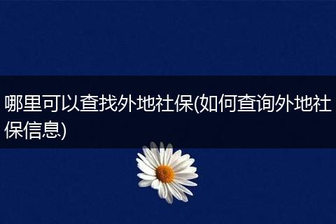 哪里可以查找外地社保(如何查询外地社保信息)