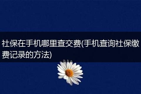 社保在手机哪里查交费(手机查询社保缴费记录的方法)