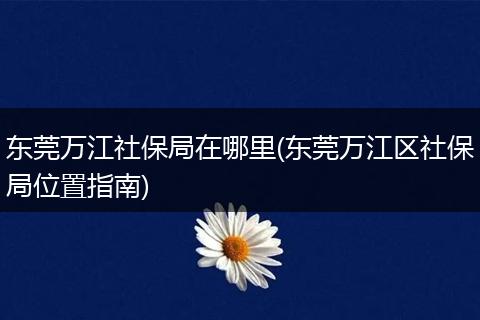 东莞万江社保局在哪里(东莞万江区社保局位置指南)