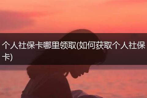 个人社保卡哪里领取(如何获取个人社保卡)