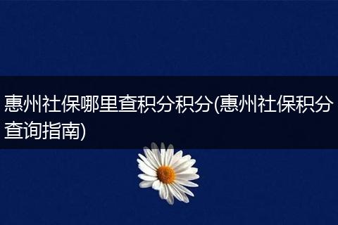 惠州社保哪里查积分积分(惠州社保积分查询指南)
