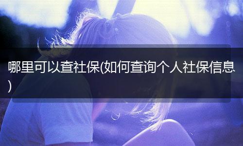 哪里可以查社保(如何查询个人社保信息)