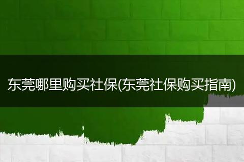 东莞哪里购买社保(东莞社保购买指南)