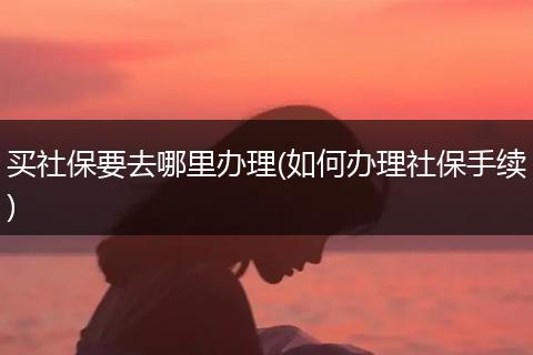 买社保要去哪里办理(如何办理社保手续)
