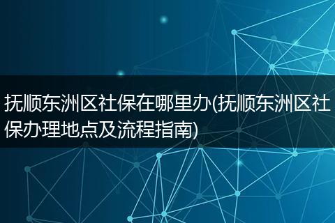 抚顺东洲区社保在哪里办(抚顺东洲区社保办理地点及流程指南)