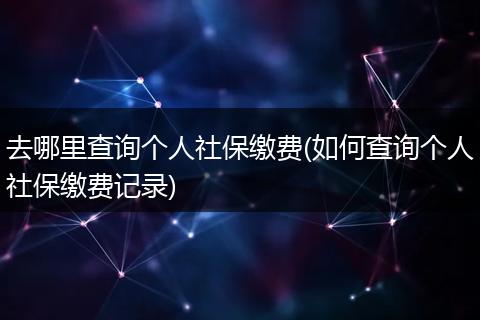 去哪里查询个人社保缴费(如何查询个人社保缴费记录)
