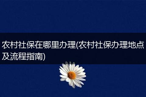 农村社保在哪里办理(农村社保办理地点及流程指南)