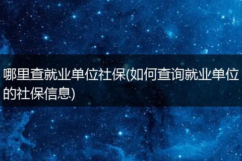 哪里查就业单位社保(如何查询就业单位的社保信息)