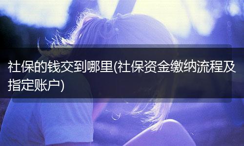社保的钱交到哪里(社保资金缴纳流程及指定账户)
