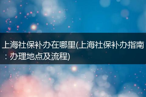上海社保补办在哪里(上海社保补办指南：办理地点及流程)